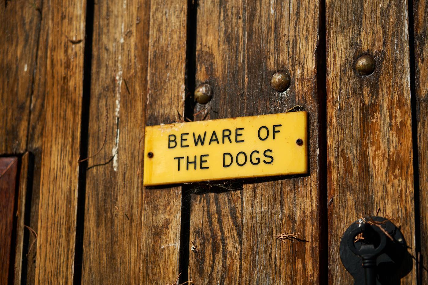 Beware of dogs warning sign on a wooden door