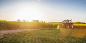 Colorado field at sunset, symbolizing life changes that require estate plan updates
