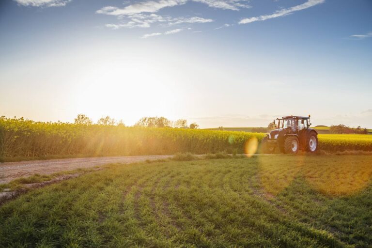 Colorado field at sunset, symbolizing life changes that require estate plan updates
